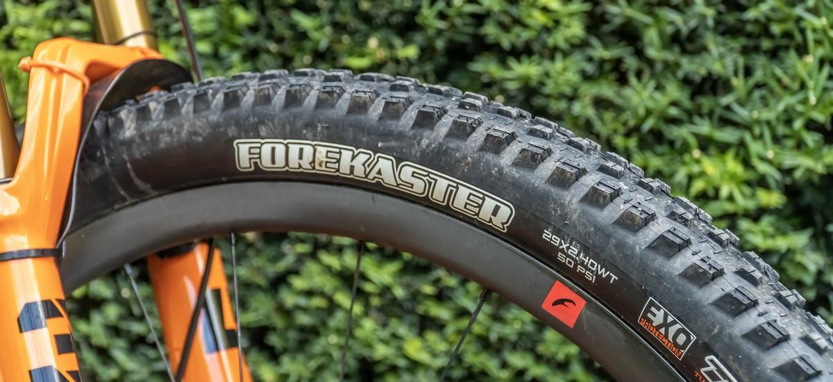Test Maxxis Forecaster