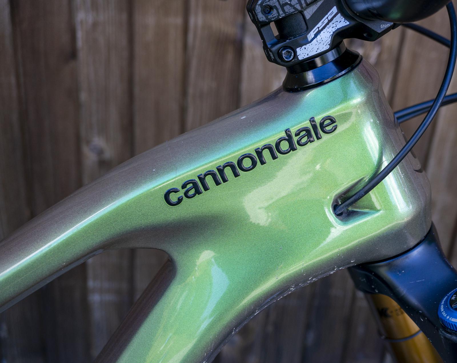 Test Cannondale Jekyll 1 2022